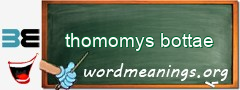 WordMeaning blackboard for thomomys bottae